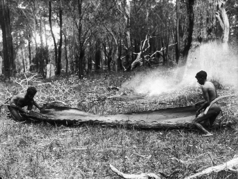 File:Aboriginal men making bark canoe after heating it over fire, ca. 1905.png