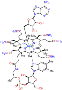 Adenosylcobalamin AdoCbl-ColorCoded.png