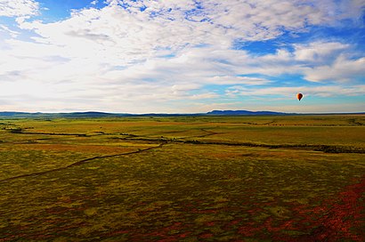 Airborne in Masai Mara