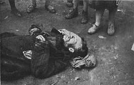 Умерший от голода мужчина, лежащий на земле, Украинская ССР.