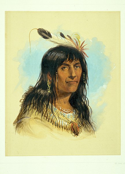 File:Alfred Jacob Miller - "Big Bowl" ( A Crow Chief) - Walters 37194015.jpg