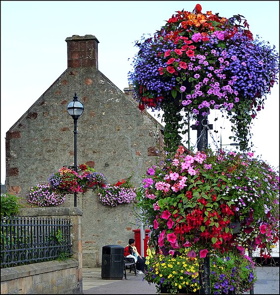 File:Alness High St. - panoramio.jpg