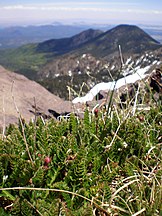 Humphreys Peak, Arizona