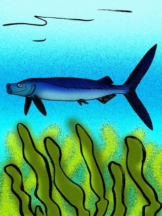 <i>Amakusaichthys</i> Extinct genus of fishes