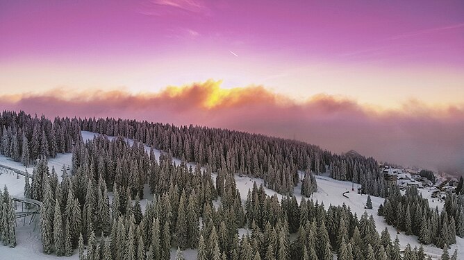 Sunset in Kopaonik. National park Kopaonik. Author: Andrej Nihil