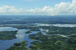 Nær Manaus