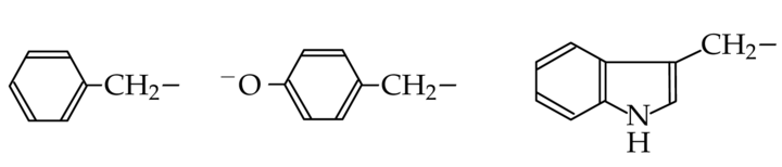 Side-chains of phenylalanine (left), tyrosine (middle) and tryptophan (right)
