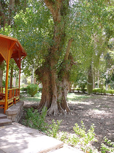 File:Aswan Botanical Garden 002.jpg