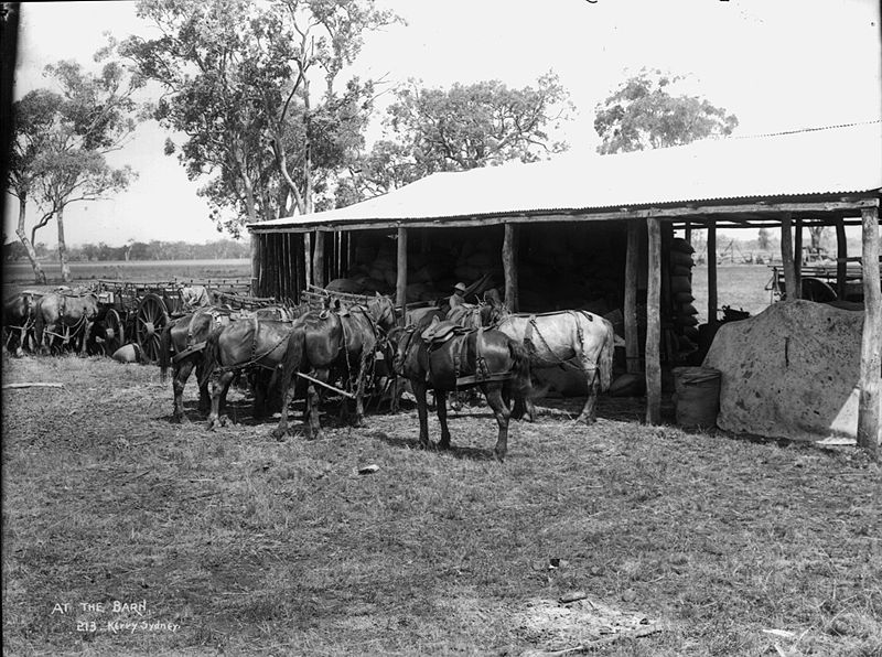 File:At the barn from The Powerhouse Museum Collection.jpg