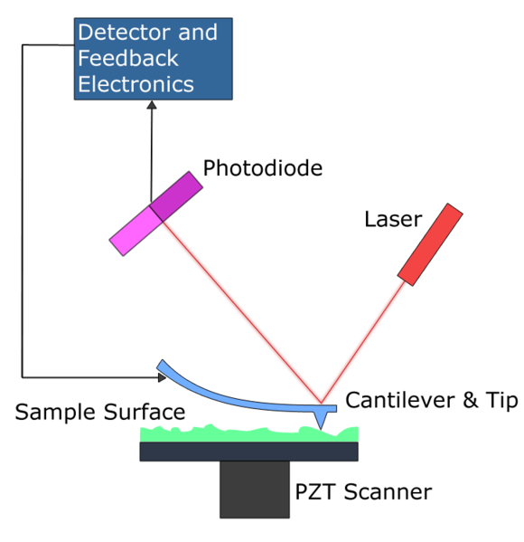 File:Atomic force microscope block diagram.png