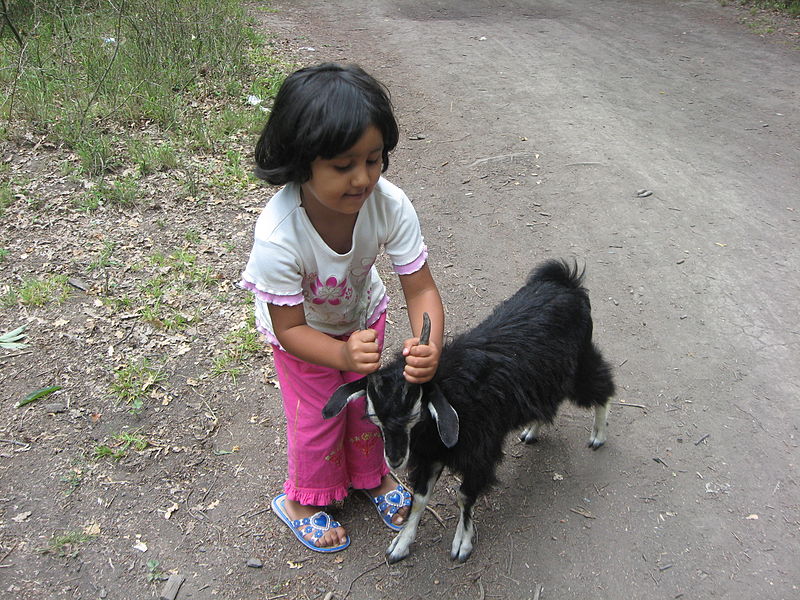 File:Azerbaijan girl and goat.JPG