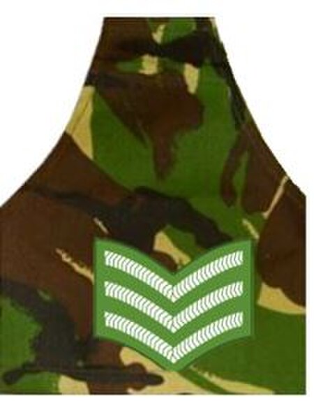 ไฟล์:BDF_Rank_Sergeant_Brassard.jpg