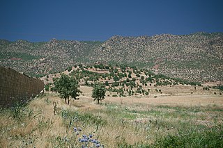 <span class="mw-page-title-main">Middle East steppe</span> Ecoregion of Jordan, Syria and Iraq