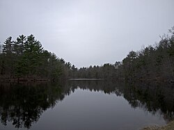 Ballard Pond.jpg