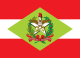 Bandeira de Santa Catarina.svg