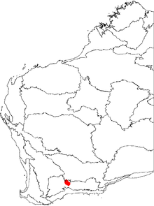 Distribution of B. viscida, shown on a map of Western Australia's biogeographic regions. Banksia viscida map.png