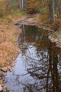 Beaver Run (Bowman Creek tributary) river in Pennsylvania, United States of America