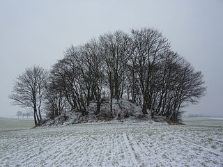 Tumulus d'Avennes