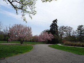 Bellevue Trail.JPG