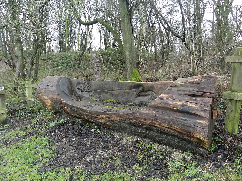 File:Bench from a tree trunk - geograph.org.uk - 3263196.jpg