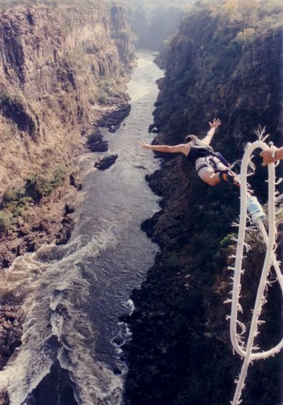 Bungee jumping off the Victoria Falls Bridge in Zambia/Zimbabwe