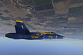 F/A-18 Hornet americké letecké akrobatické skupiny Blue Angels