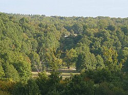 A Bois de Bel-Air (Charente) cikk szemléltető képe