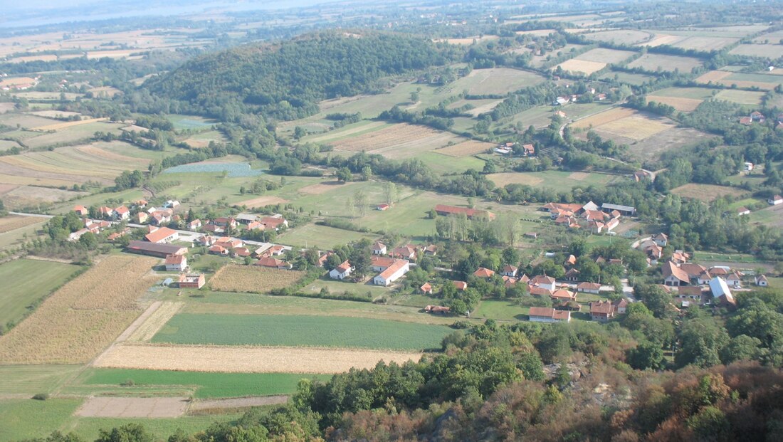 Knić