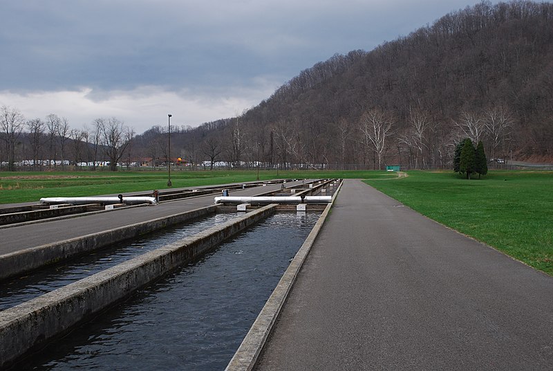 File:Bowden Fish Hatchery.jpg