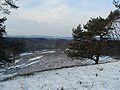 …og om vinteren over Naturpark Aukrug.