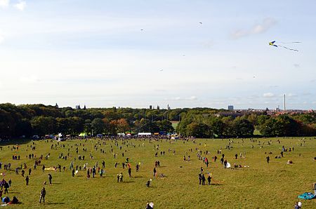 Braunschweig Franzsches Feld Nussberg (2011)