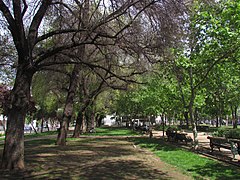vegetace v parku