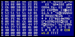 Hexdump von CIH