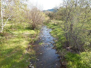 Cañada Garcia Creek