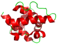 Calponin CH domain