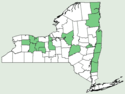 Carex formosa NY-dist-map.png