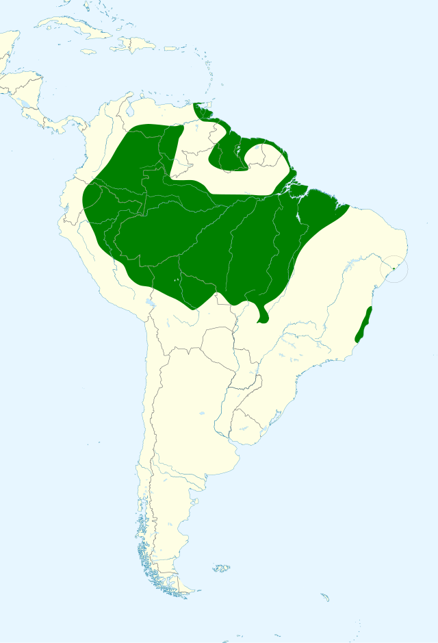 Distribuição do pica-pau-amarelo