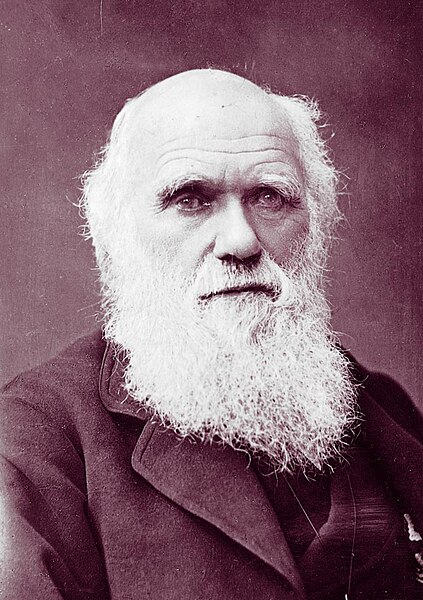 File:Charles Darwin photograph by Herbert Rose Barraud, 1881 2.jpg