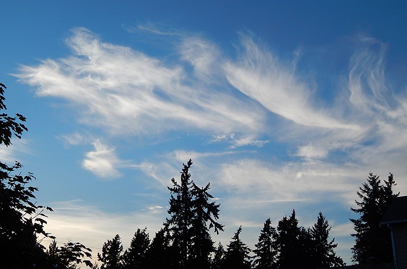 File:Cirrus clouds over Federal Way, WA July 3.jpg