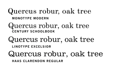 Monotype Modern with three fonts inspired by this style of design. At the bottom, Haas Clarendon shows reduced contrast and a wide, display-oriented structure. The text faces Century Schoolbook and especially Linotype Excelsior, a variant on Linotype Ionic, have text-oriented structures with narrower letterforms and smaller serifs than the Clarendon, but they show reduced contrast and more open letterforms to increase legibility compared to the Modern, particularly visible on Excelsior's 'e', 'c' and 'a'.[a]