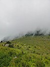 Cloudy mist over the meadow of Mount Baihua