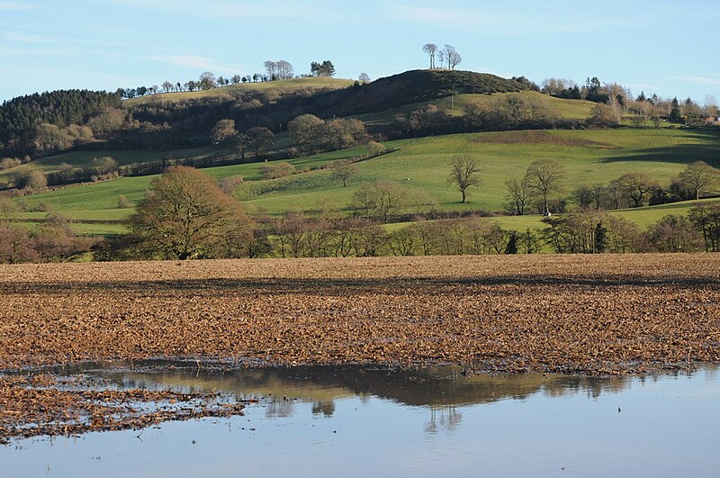 File:Cole's Tump - geograph.org.uk - 3256407.jpg