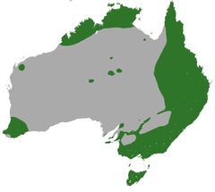 Common Brushtail Possum area.png
