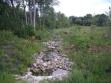 A tributary of Malletts Creek within the park County Farm Park August 2013 11 (County Farm Creek).jpg