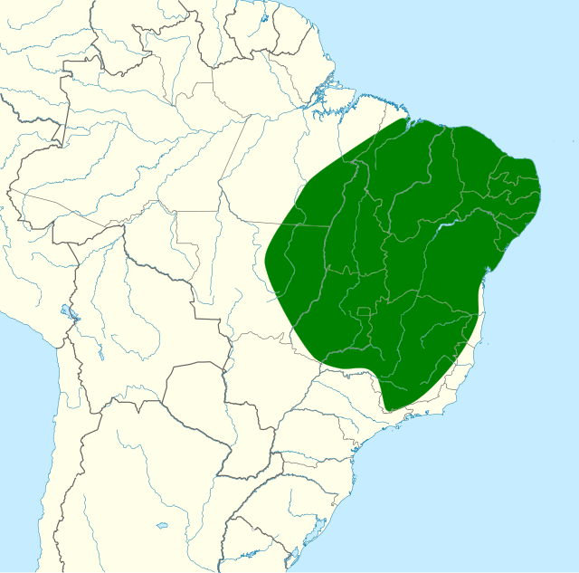 Distribuição da gralha-cancã