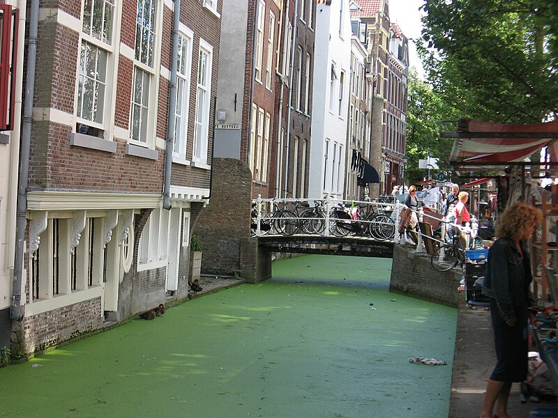 File:Delft - voetgangersbrug Bonte Ossteeg (Voldersgracht).jpg