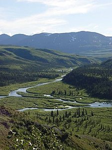 Delta rivier AK.jpg