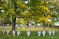 Deutscher Soldatenfriedhof Wicres Köyü-7.JPG