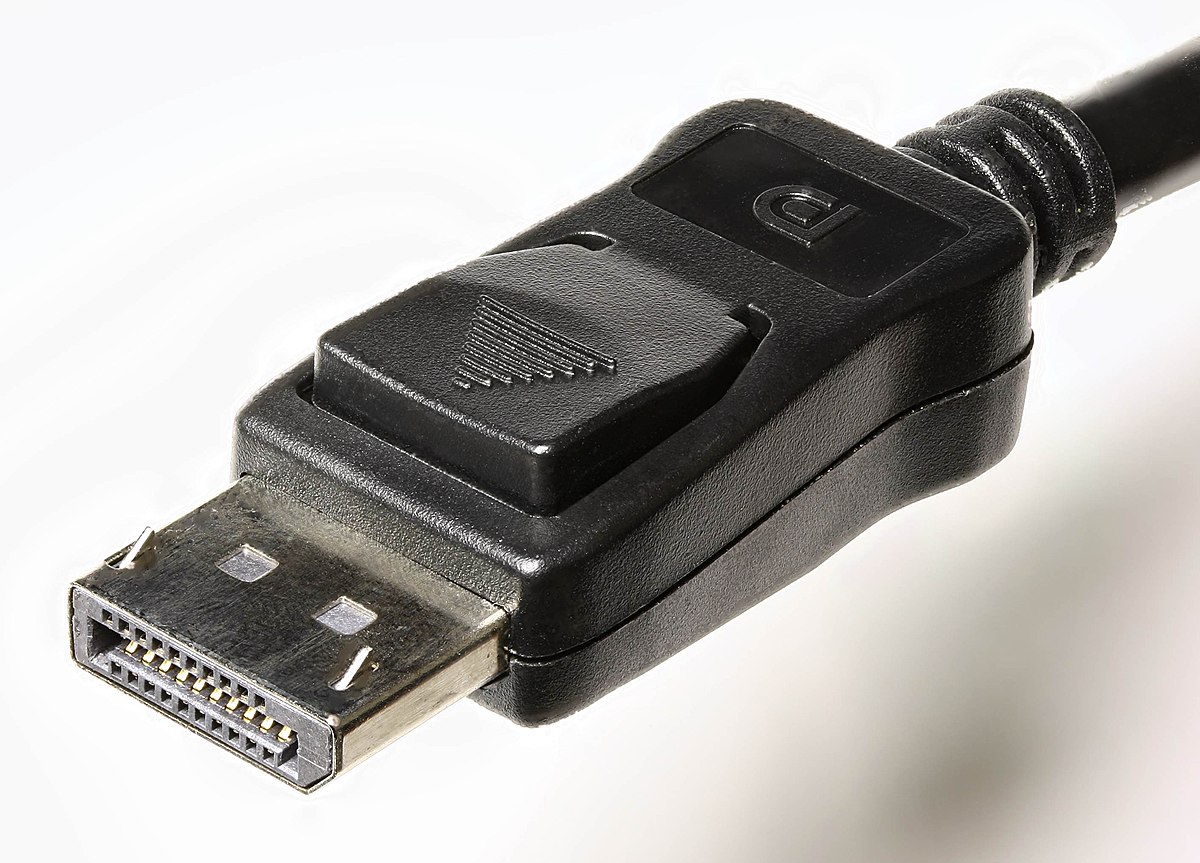 Paragraph Collecting leaves commentator DisplayPort connector - Wikidata