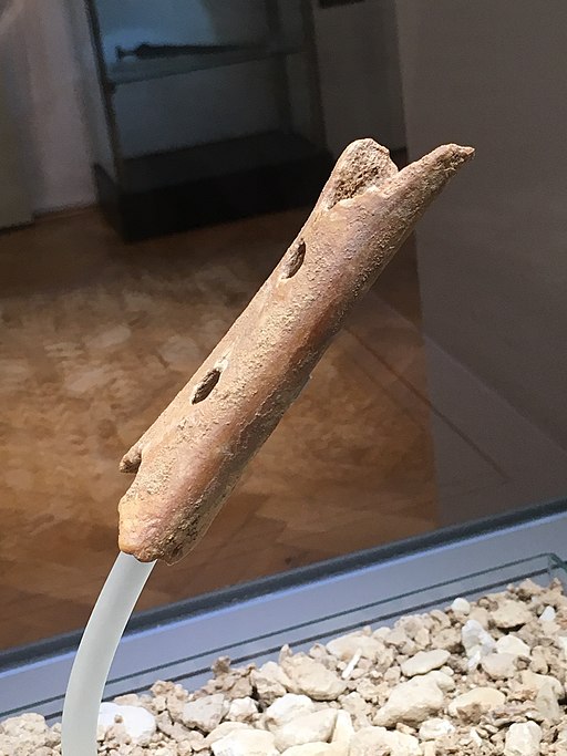 Neanderthal Flute - Divje Babe Flute